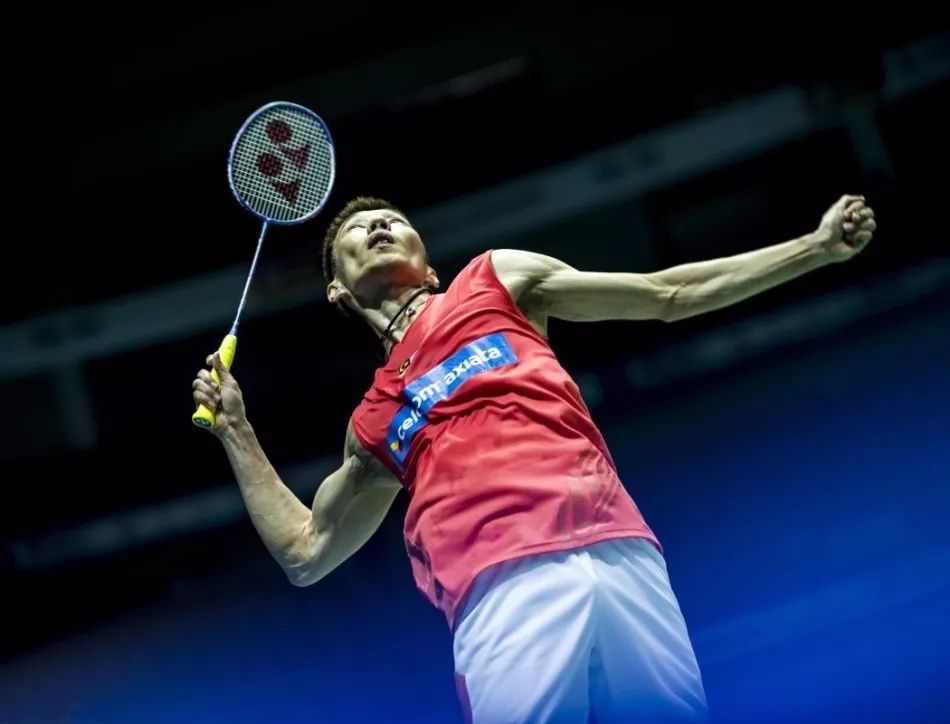 约基奇加盟 约基奇加盟