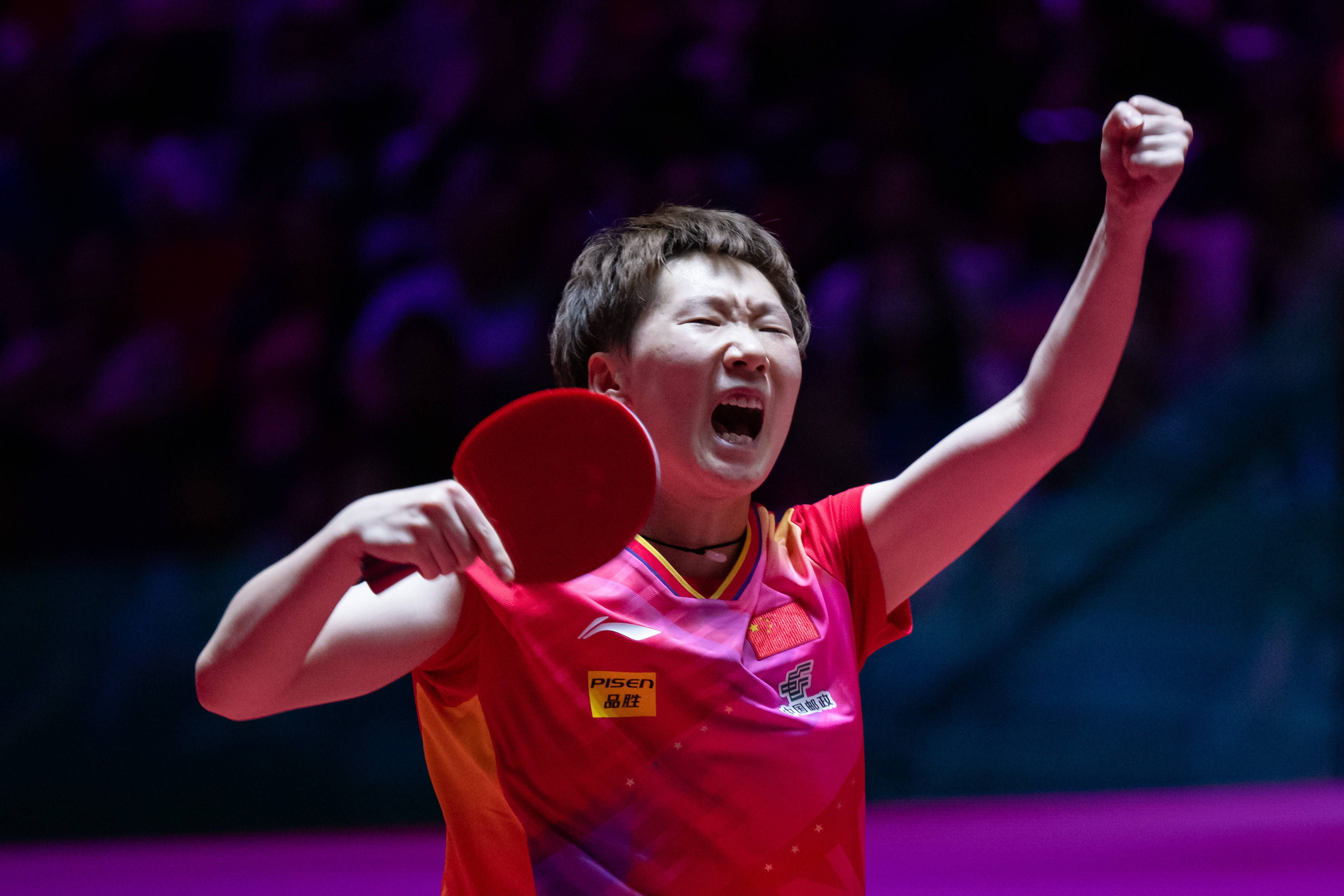 虎的五外援 虎的五外援